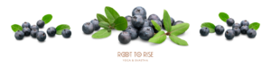 root to rise yoga-national blueberry month with blueberry photos